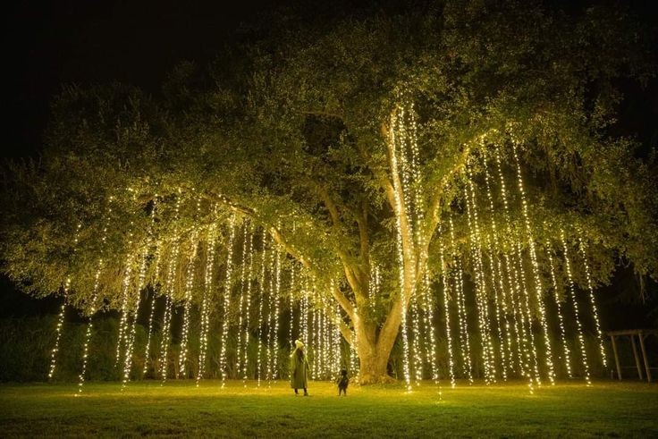 Green space and villa lighting