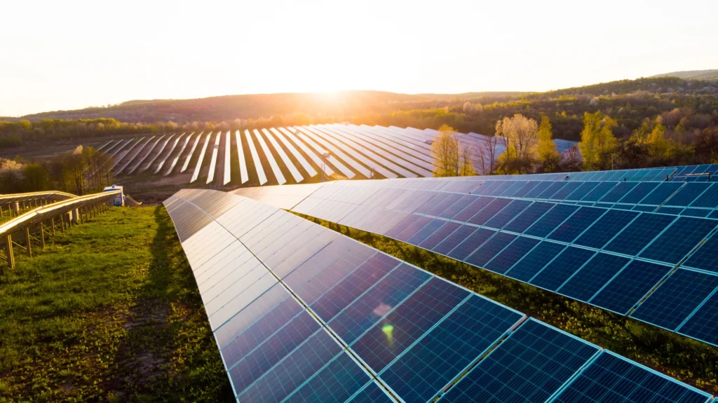 Solar panels in agriculture