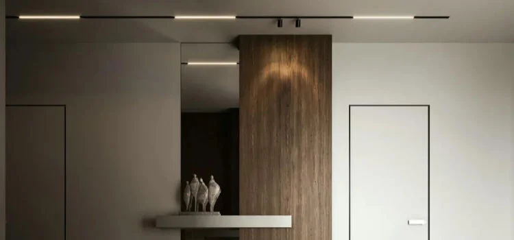 What is a magnetic light